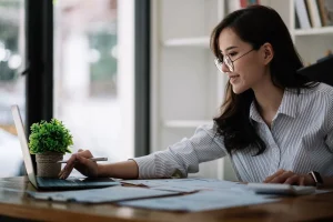 Income Tax Accountant