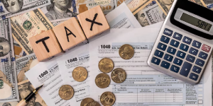 Professional Income Tax Accountant Services